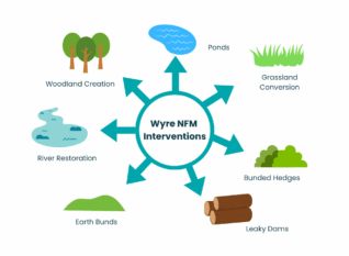 Wyre NFM interventions graphic