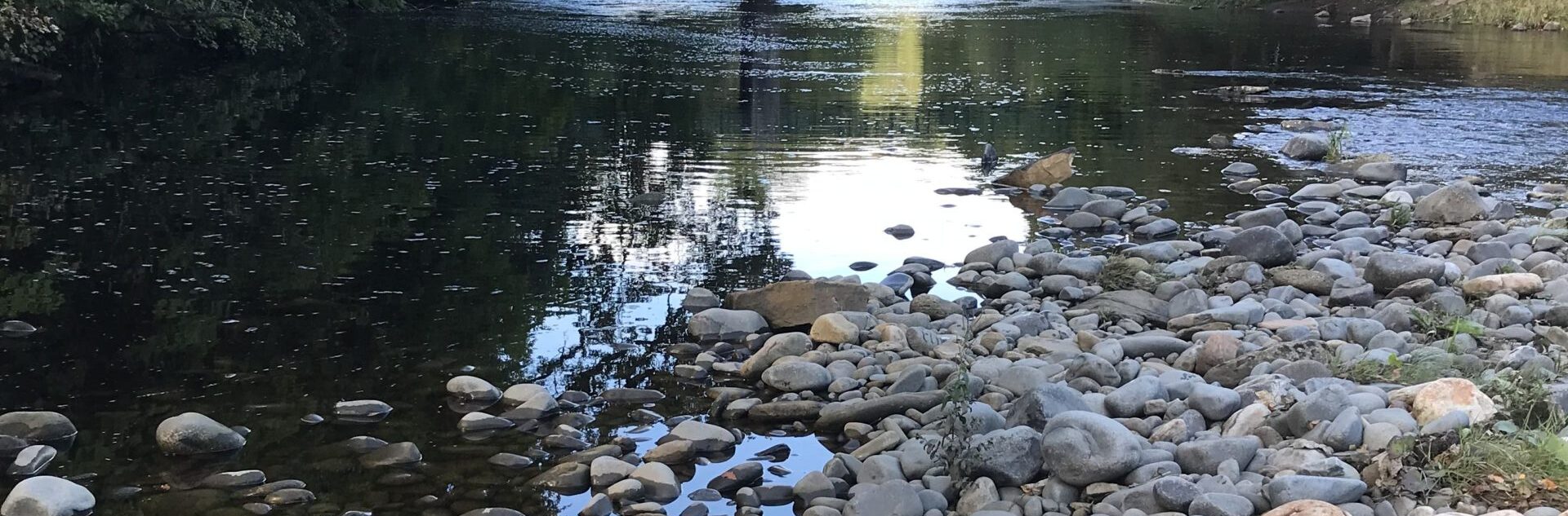 Tees Rivers Trust