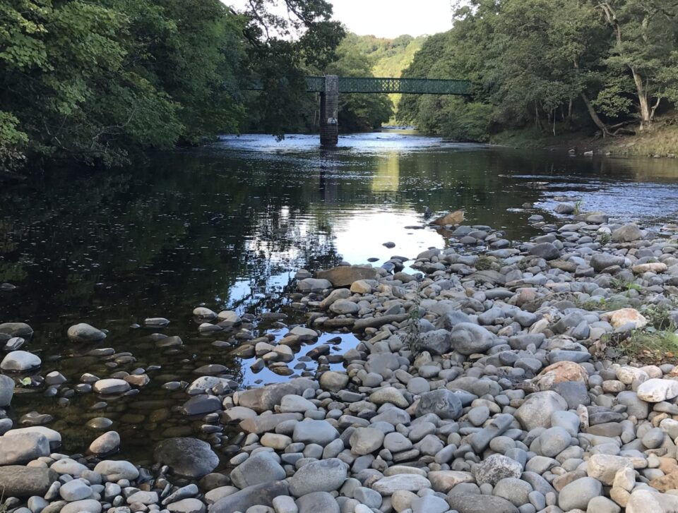 Tees Rivers Trust