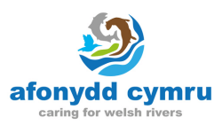 afonydd cymru logo