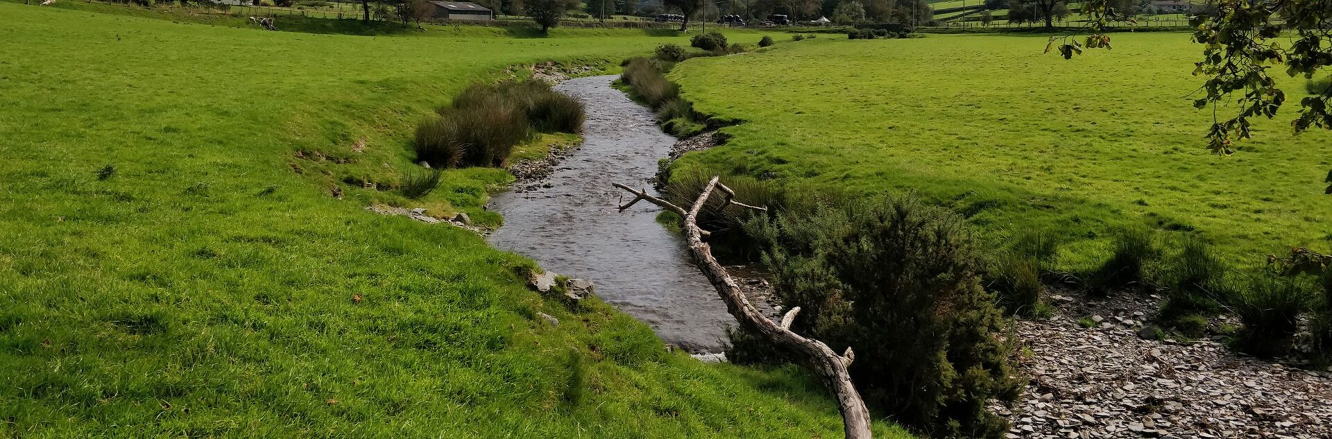 Melinddwr before - West Wales Rivers Trust