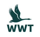 WWT.
