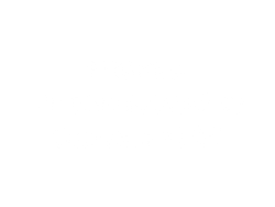 Finance lit review text