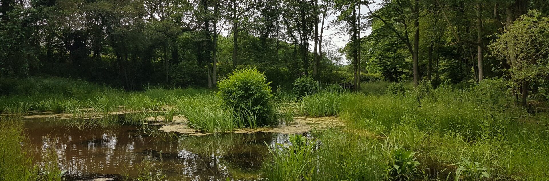 South East Rivers Trust - NbS
