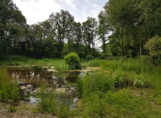 South East Rivers Trust - NbS