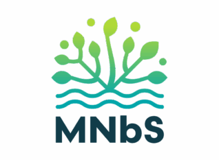 MNbS logo