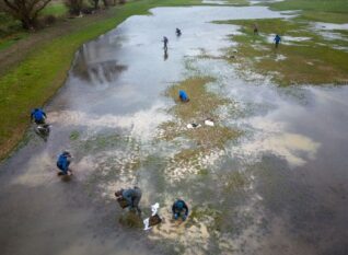 An aerial view of the Kennet Valley Wetland