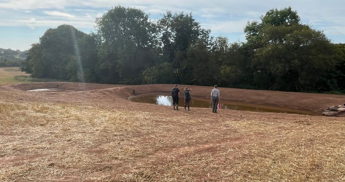 Nature Bufers on the River Frome