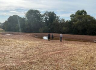 Nature Bufers on the River Frome