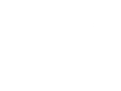 CVF V2.1 user guidance
